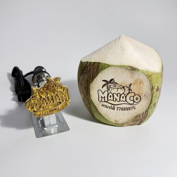 OEM Hot-Stamp Branding on Coconut